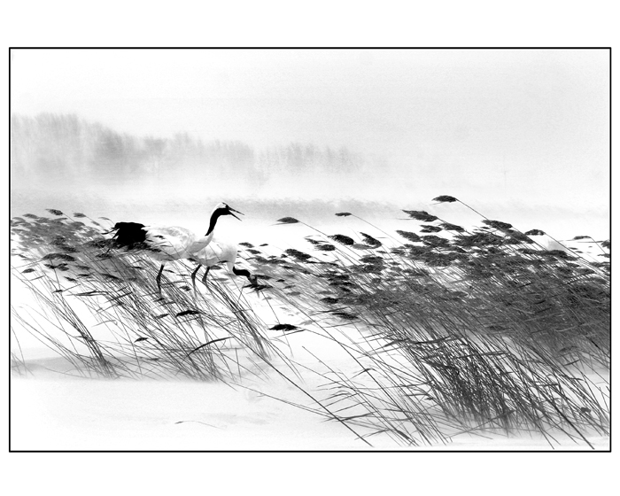 [����] ����ף��ˮ�ֳ������Ķ��⡢������Ʒ��á�������Ӱ��ȫ��Ӱ����̨����֦��վ�Ǿ�����