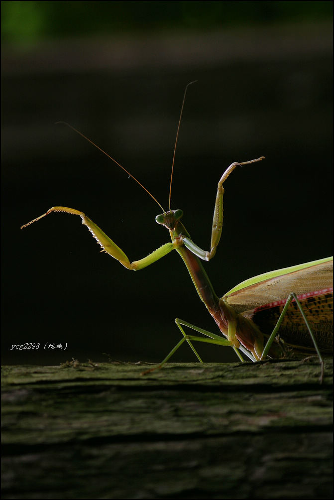 [ԭ��]�ֶ�ָ�ӡ�����루�����У�