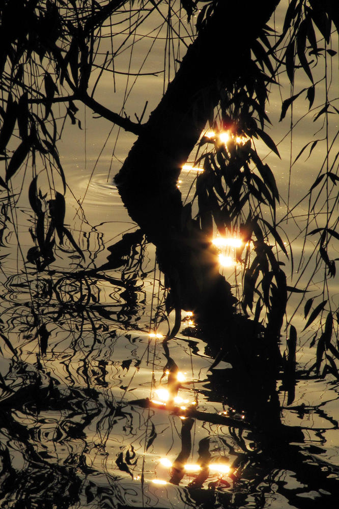 ���� (5).JPG