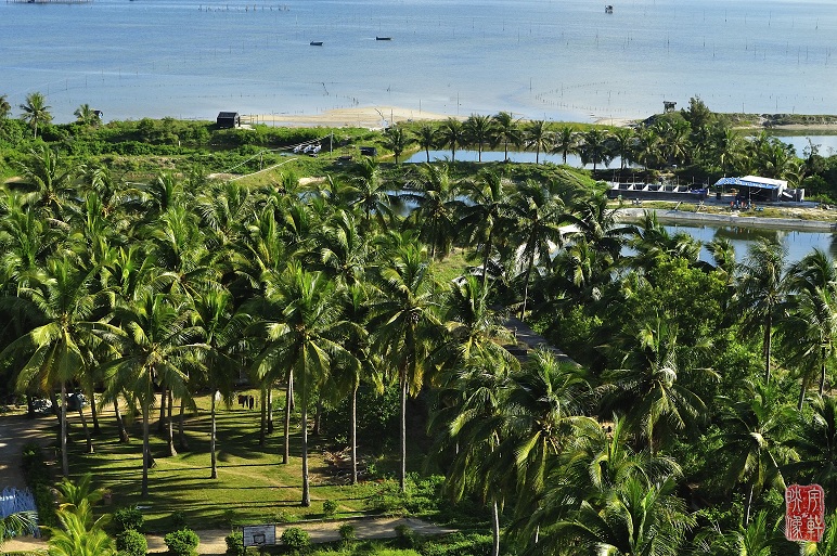 ����ﵺ�³���