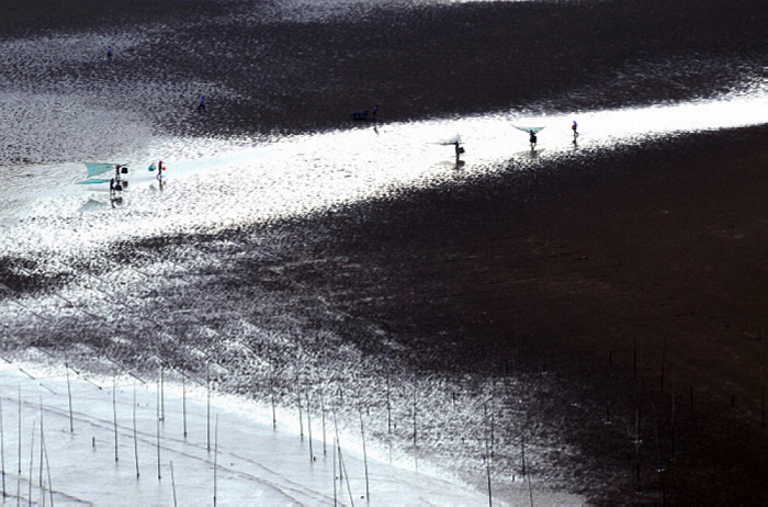 ���� (1).jpg