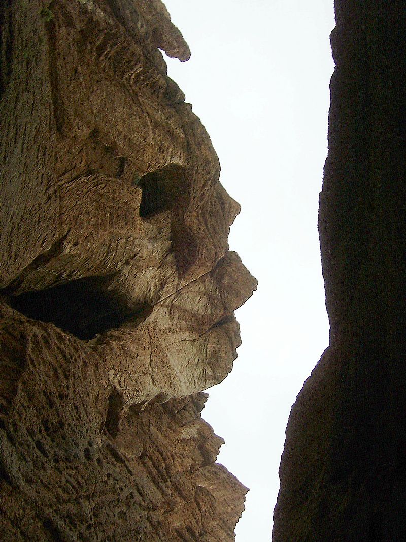 �⳵��Ͽ�Ⱦ���--����ͷ