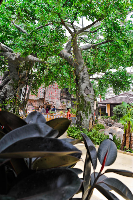 �������� (1).jpg