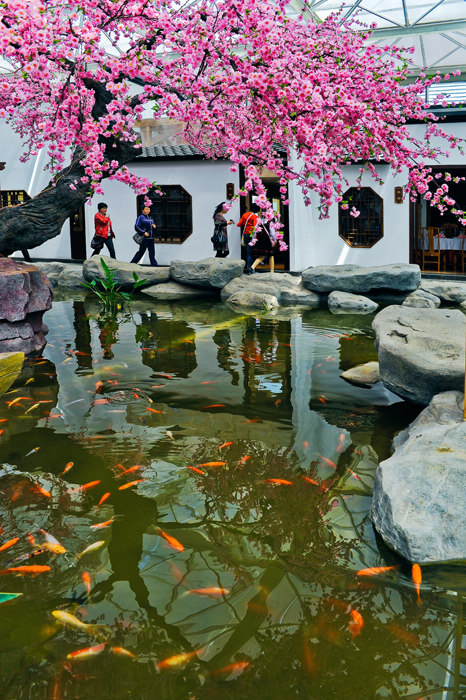 �������� (5).jpg