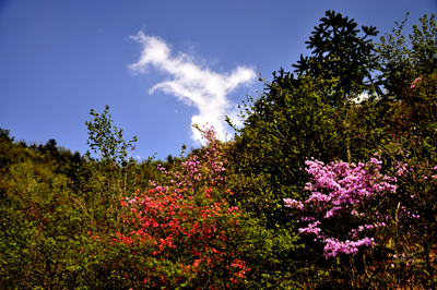 ��PS������