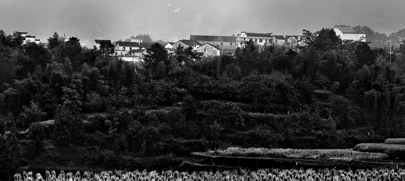 100_3111 ����.jpg