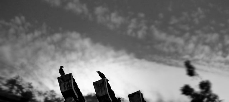 100_3792 ����.jpg