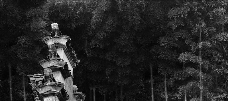 100_3859 ����.jpg