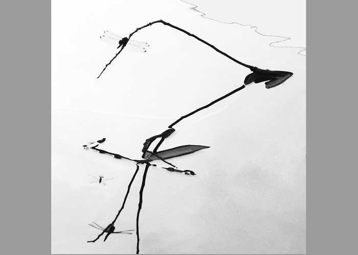 ������ (3).JPG