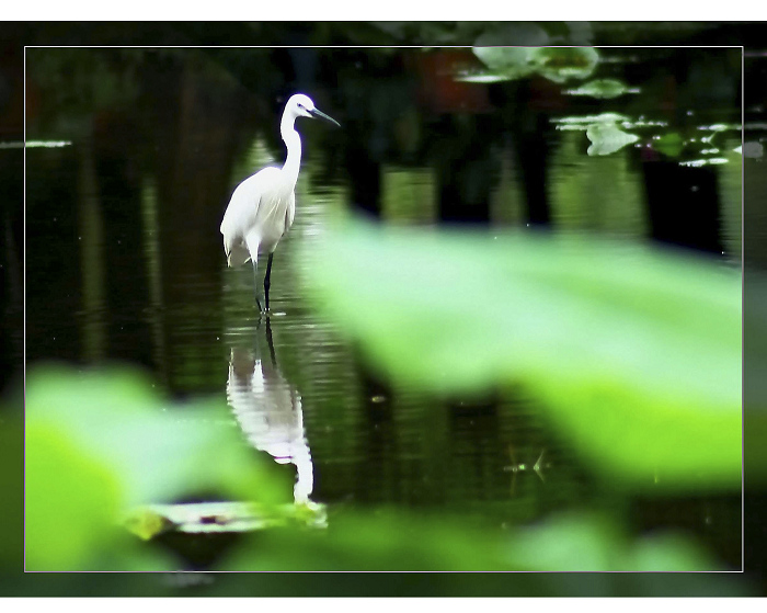 ���� (1).JPG