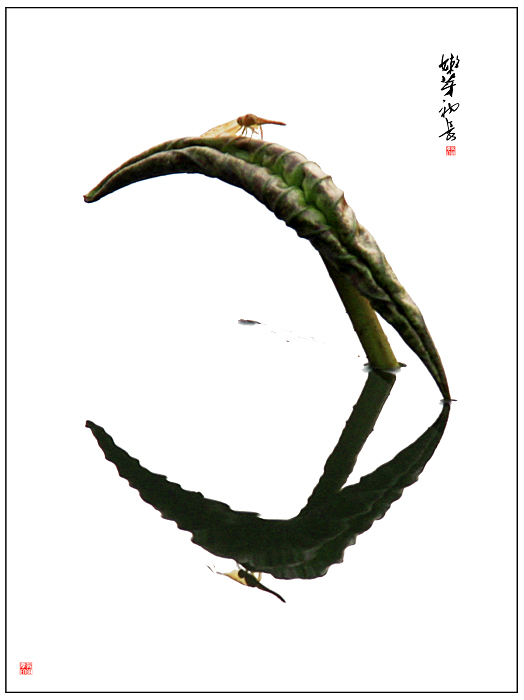 ����Т. (1).JPG