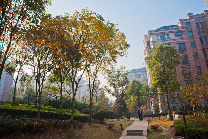 _DSC7527 ����.jpg