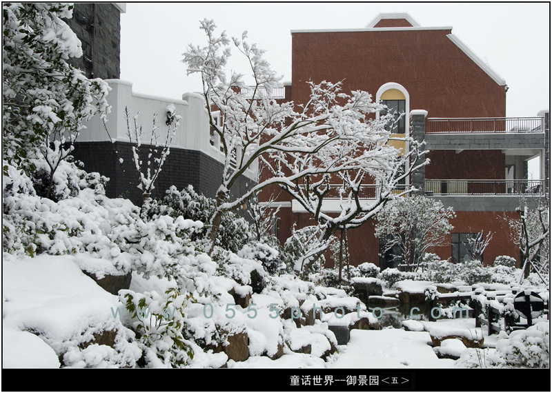 ��ͯ�����硷����5