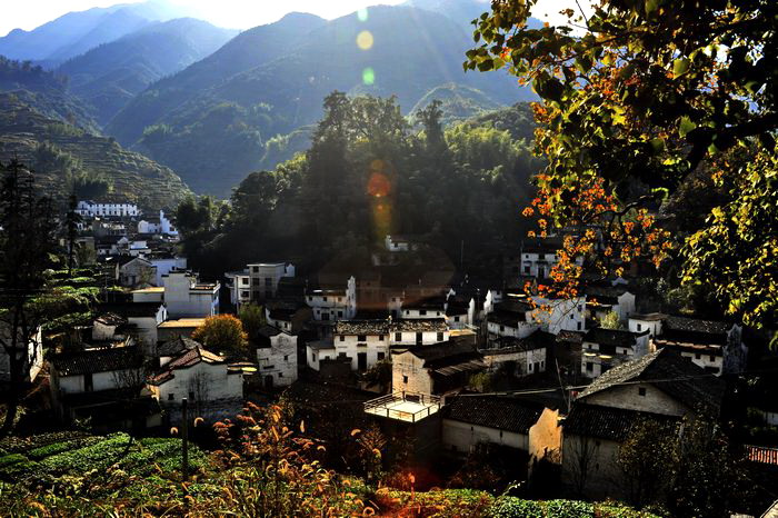 ��Ƭ 504O�����ɷ���.jpg