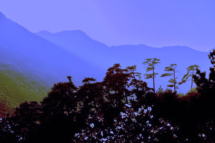 ��Ƭ 589�߽���Դ��ɽ��.jpg