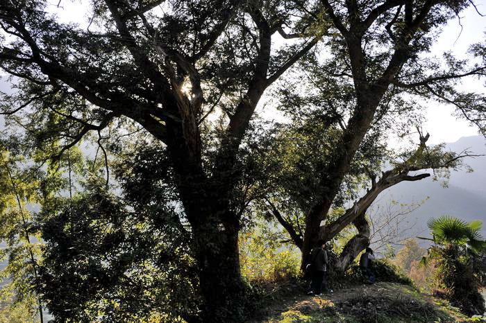 ��Ƭ 584�߽���Դ��ɽ��.jpg