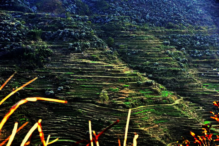 ��Ƭ 586�߽���Դ��ɽ��.jpg