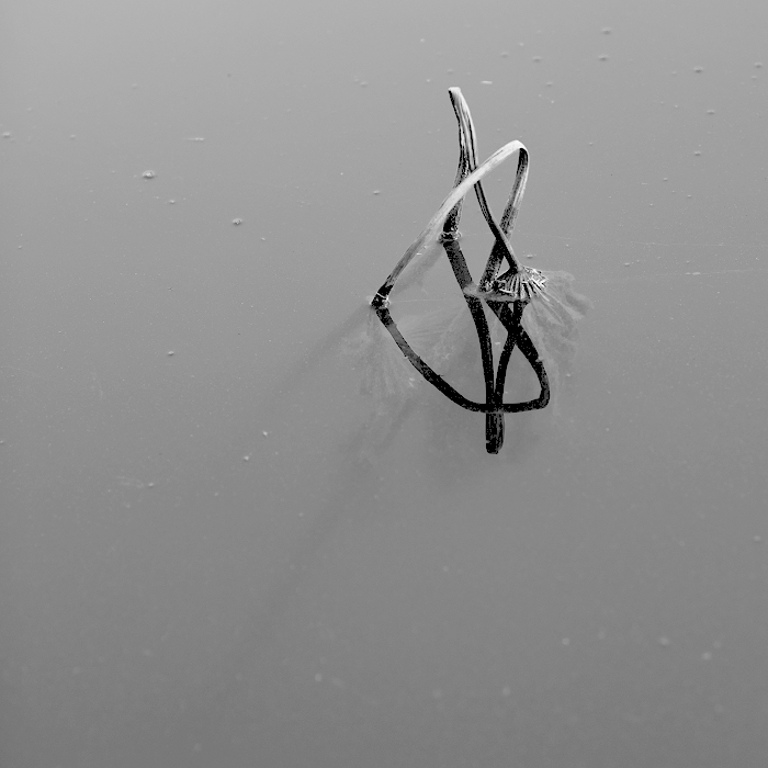 _DSC8531 .jpg