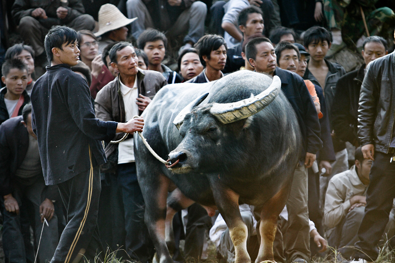 ��³��ţ (1).jpg