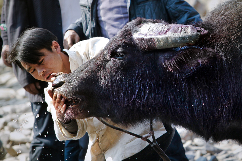 ��³��ţ (4).jpg