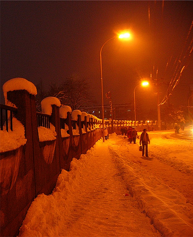 p1190012_..jpg