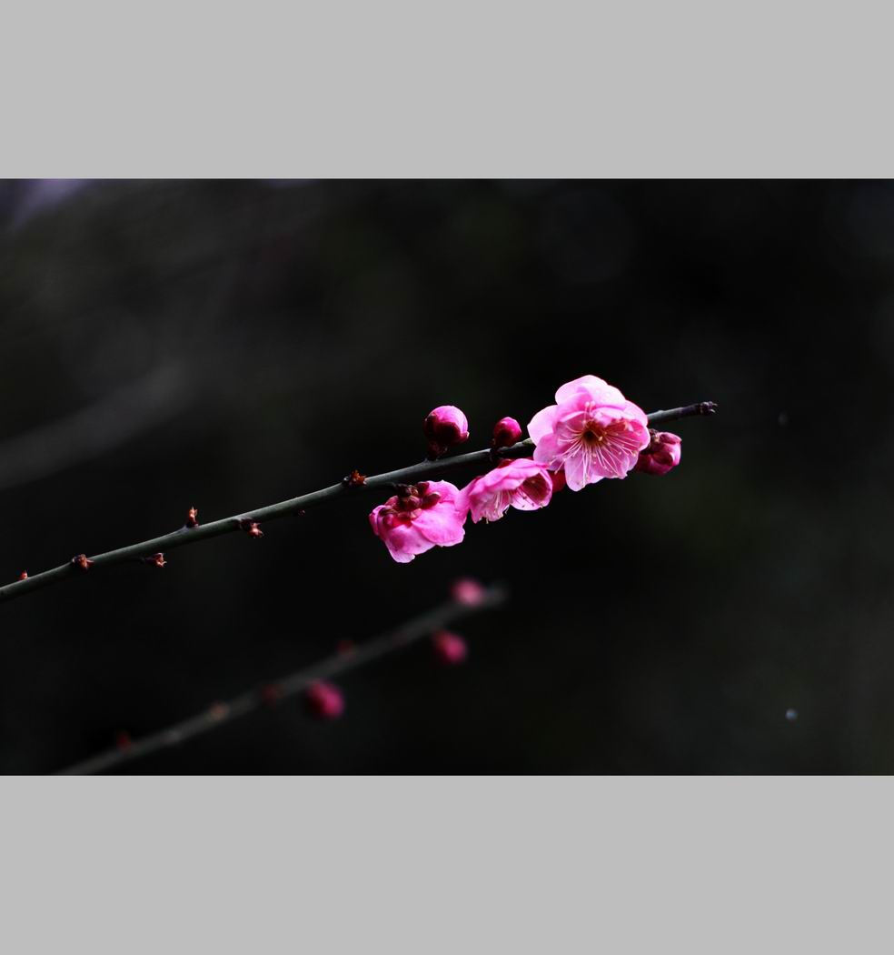 С ع IMG_9154.JPG