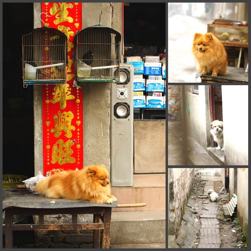 ��Ƿ�д�� (5).jpg