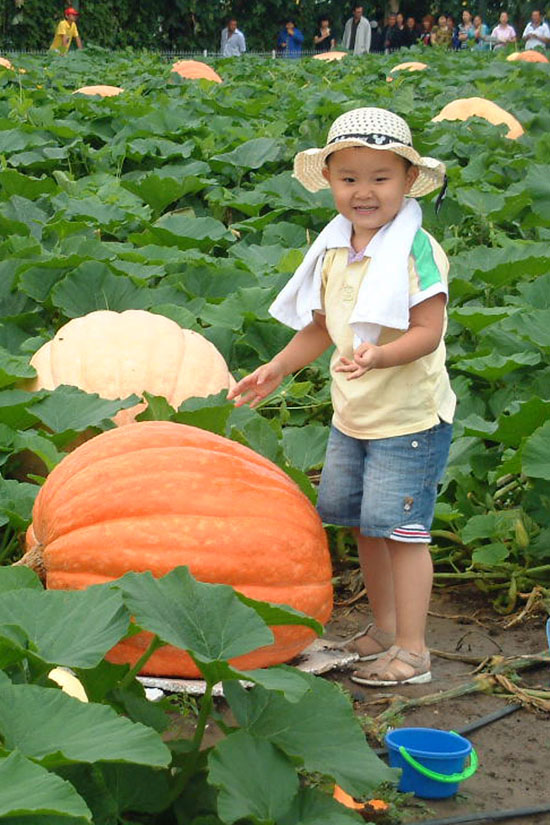 �Ϲ�������ͯ........