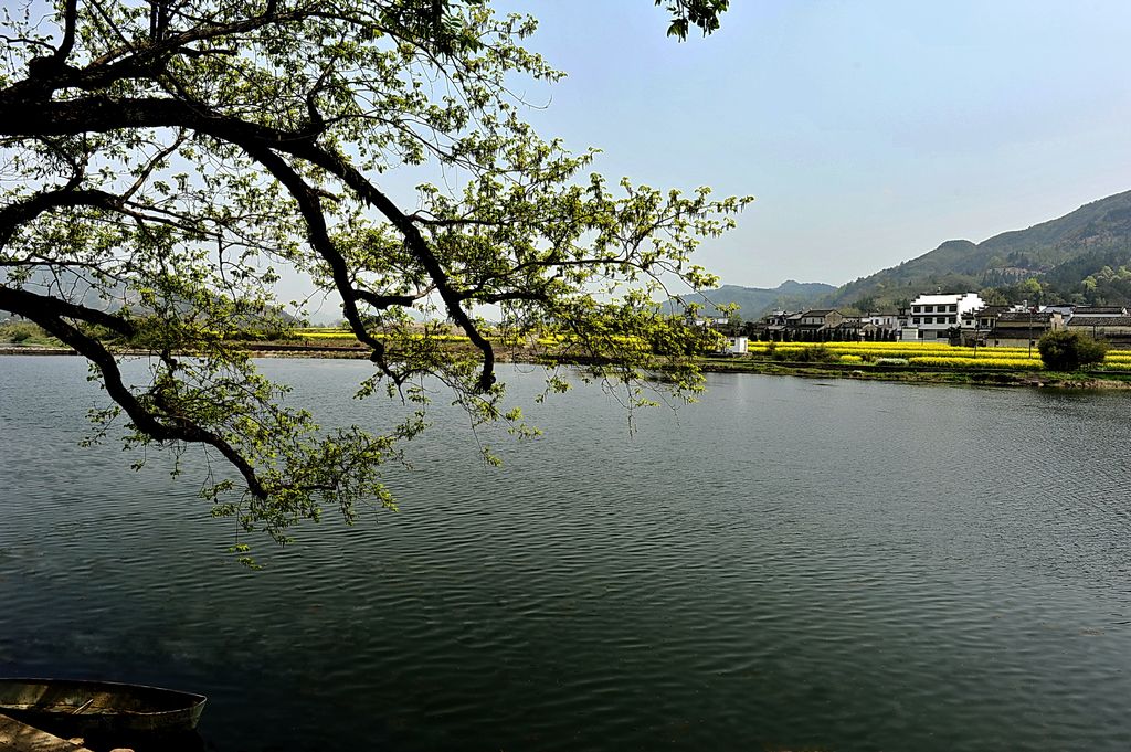 ��2011��������ɽ�·�⡿ 196k.jpg