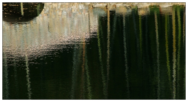 DSCF2463 ����.jpg