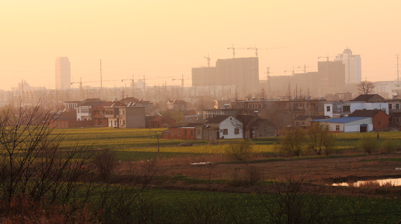 IMG_28340_neo_bak ����.jpg