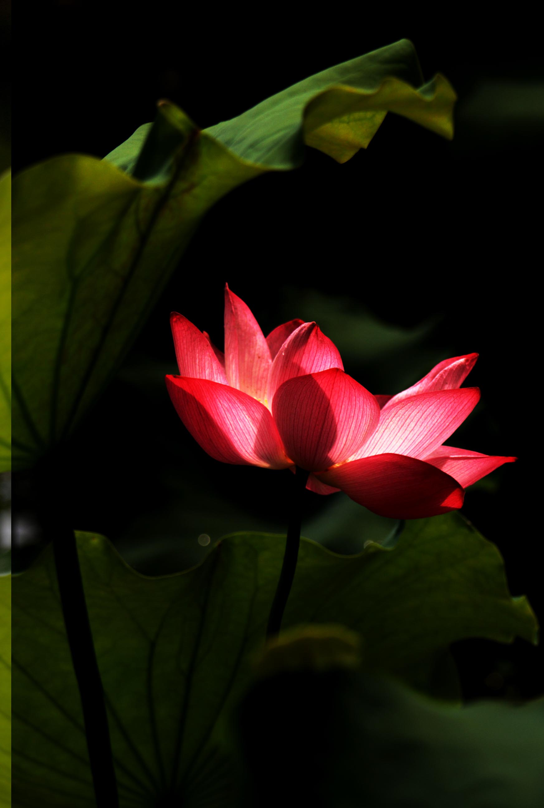 ���� IMG_1159 ����.jpg