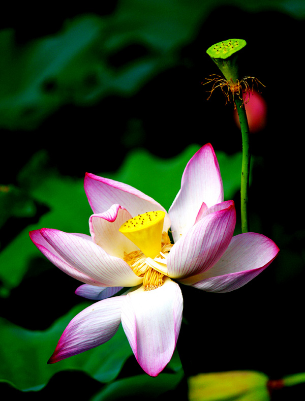 IMG_118 ����.jpg