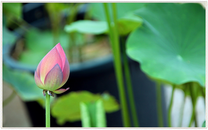 60d 013_����_����.jpg