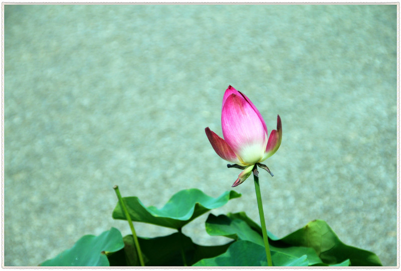 60d 007_����_����_����.jpg