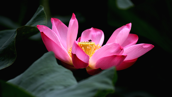 _MG_2596 ����.jpg