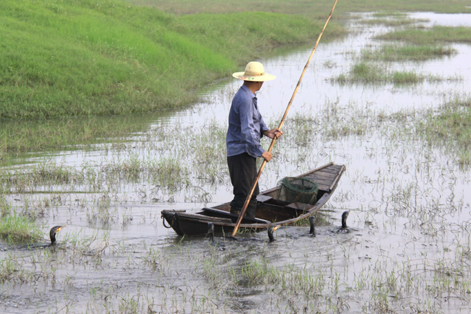 ���� IMG_5132.jpg