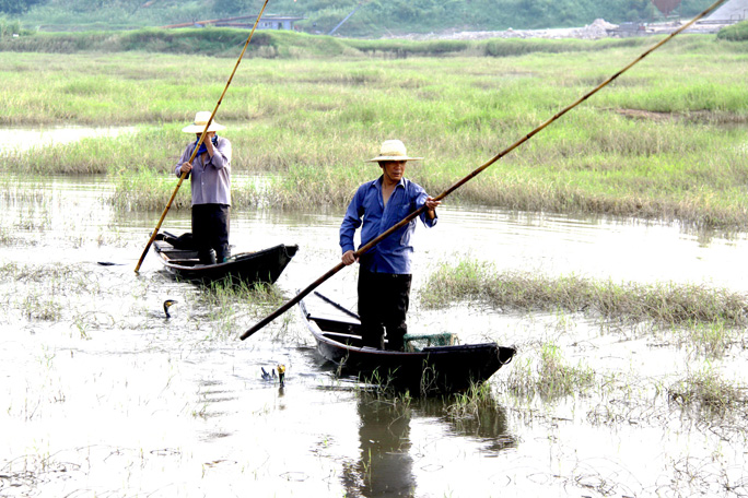 ���� IMG_5116.jpg