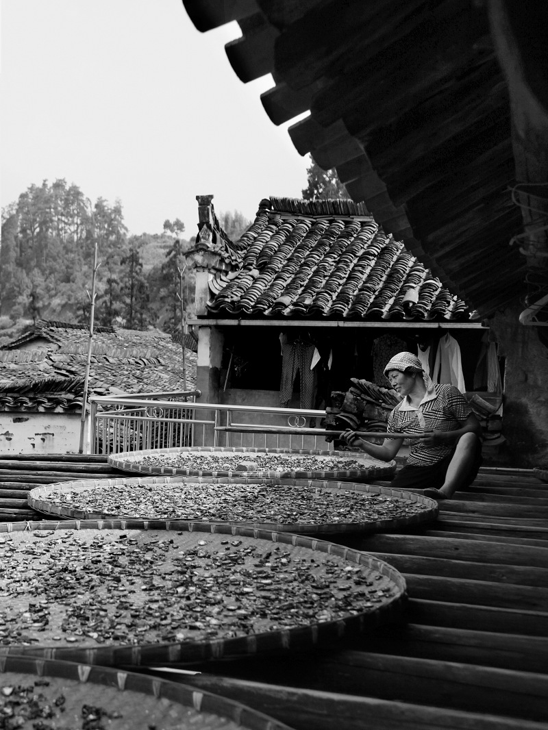 -4��ɹ4209 ����0.jpg