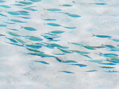 ��������³����           (1).JPG