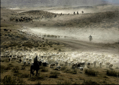 ת�� ��������.jpg