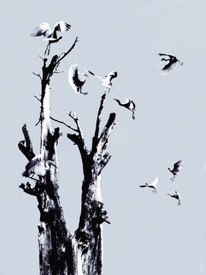 ʧȥ�ļ�԰ ��������.jpg