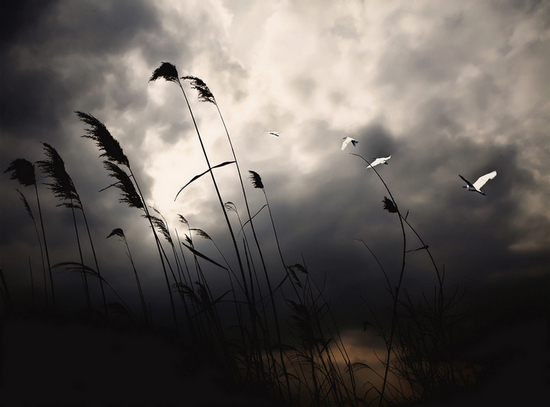 ǧ�����ư����� ��������.jpg