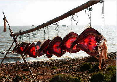 ����ӡ�� �⽨����.jpg