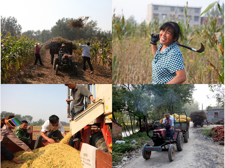 ����Ƽ��