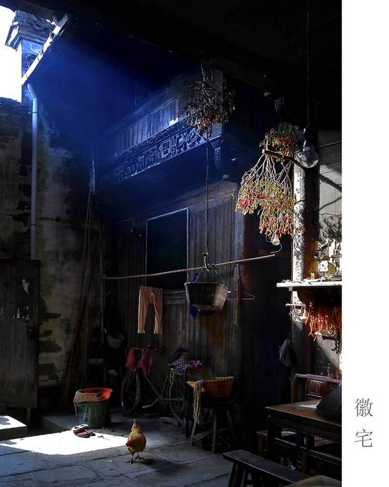 ������ (1).jpg