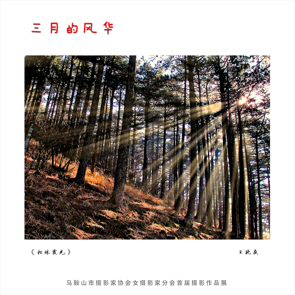 ������ (2).jpg