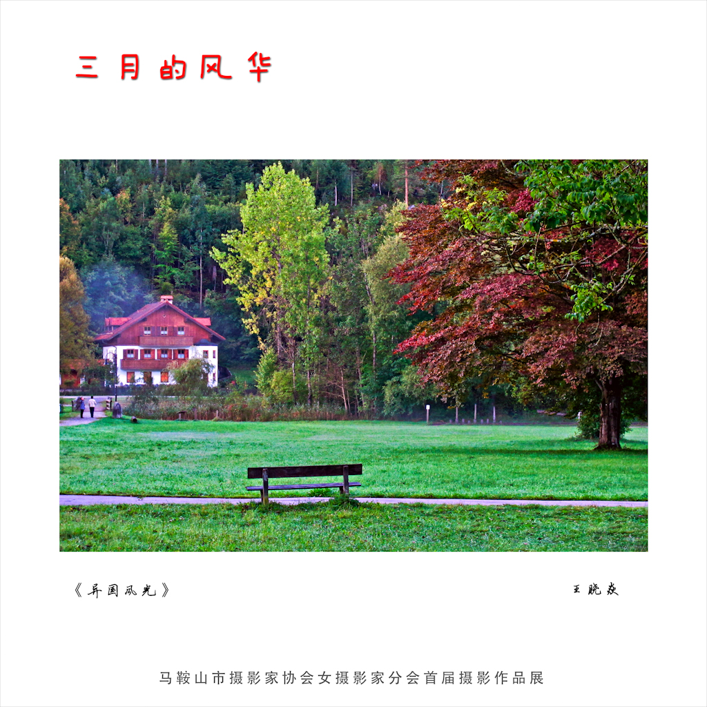 ������ (1).jpg