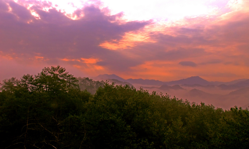 DSCF5003-1.jpg