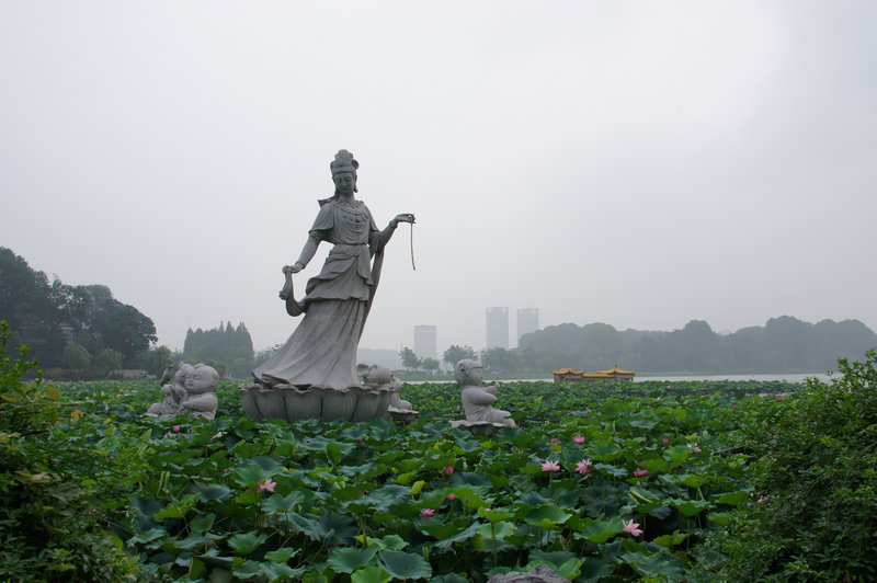 DSC06667.JPG